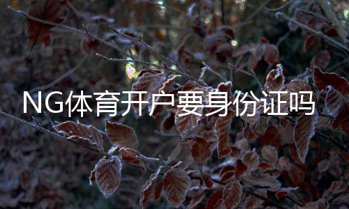 NG体育开户要身份证吗？实名认证、资料流程与常见问题全解