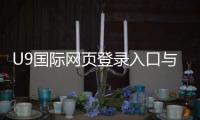 U9国际网页登录入口与注册教程：新手登录步骤、安全设置与常见问题解决