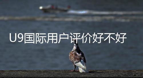 U9国际用户评价好不好？真实口碑与优缺点全面解析
