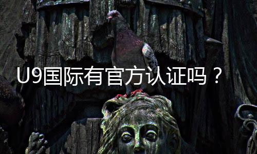 U9国际有官方认证吗？真假认证识别方法与官方查验指南