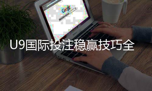U9国际投注稳赢技巧全解析：新手必看风险提示与实战提升策略