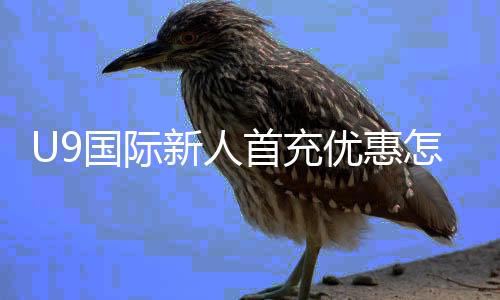 U9国际新人首充优惠怎么拿？领取步骤、福利规则与注意事项全攻略