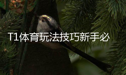 T1体育玩法技巧新手必看:快速上手与实战盈利攻略