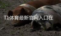 T1体育最新官网入口在哪？官方登录、注册与手机访问全指南