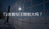 T1体育投注限制大吗？全面解析限制范围、原因与新手应对建议
