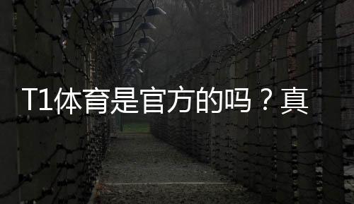 T1体育是官方的吗？真伪辨别、资质查询与使用安全全解析