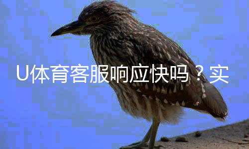 U体育客服响应快吗？实测体验告诉你答案