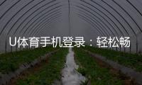 U体育手机登录：轻松畅玩电子游艺的移动端入口