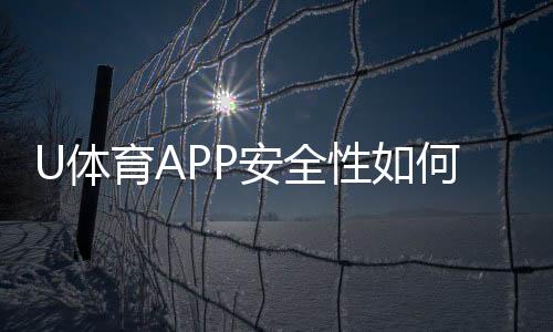 U体育APP安全性如何？资深玩家实测解析平台安全机制