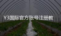 Y3国际官方账号注册教程：新手一步步流程、验证与常见问题详解
