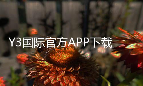 Y3国际官方APP下载：安卓版苹果版官网下载、安装与新手注册全攻略