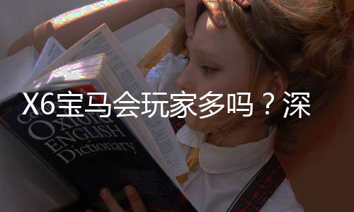 X6宝马会玩家多吗？深度解析平台人气与玩家真实体验