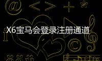 X6宝马会登录注册通道：畅享豪华电子游艺的快速入口指南