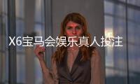 X6宝马会娱乐真人投注：揭秘高胜率玩家的实战技巧与策略