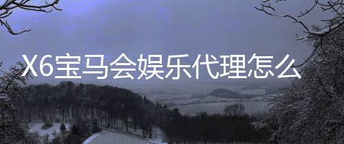 X6宝马会娱乐代理怎么做？资深玩家分享高效代理实战经验