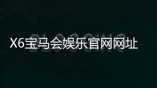 X6宝马会娱乐官网网址:畅享豪华电游盛宴与棋牌乐趣
