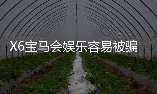 X6宝马会娱乐容易被骗吗?资深玩家揭秘防骗技巧与平台真相