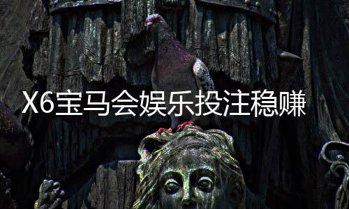 X6宝马会娱乐投注稳赚吗？资深玩家揭秘稳赢技巧与风险把控