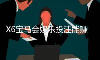X6宝马会娱乐投注能赚钱吗？资深玩家揭秘真实盈利技巧与风险