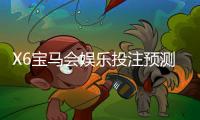X6宝马会娱乐投注预测准吗？实测数据与玩家经验深度解析