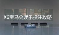 X6宝马会娱乐投注攻略：资深玩家教你稳赢技巧与实战心得