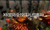X6宝马会投注礼包多吗？揭秘平台福利与实战领取攻略