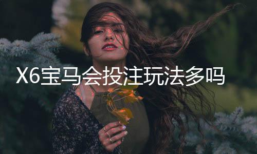 X6宝马会投注玩法多吗?资深玩家揭秘特色游戏与实战技巧