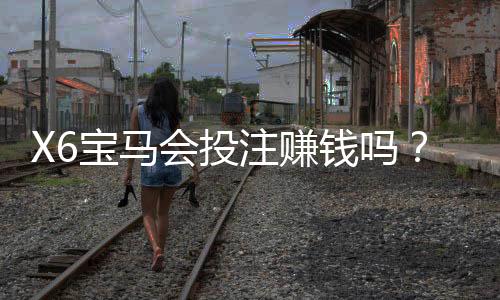 X6宝马会投注赚钱吗？揭秘高胜率玩家的实战技巧与策略
