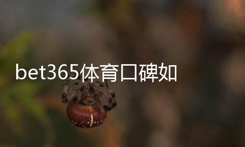 bet365体育口碑如何？真实用户评价、安全性与提款体验全面解析