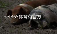 bet365体育有官方认证吗？官方资质、安全性与真伪辨别全攻略