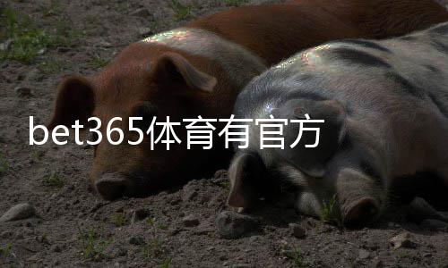 bet365体育有官方认证吗?官方资质、安全性与真伪辨别全攻略