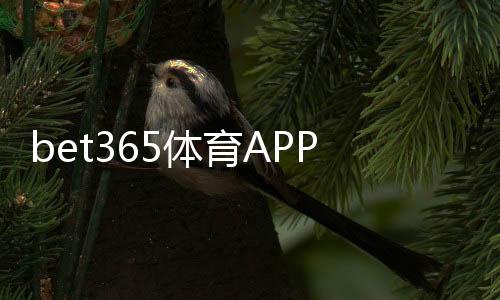 bet365体育APP注册怎么做？新手开户流程、实名认证与常见问题详细攻略