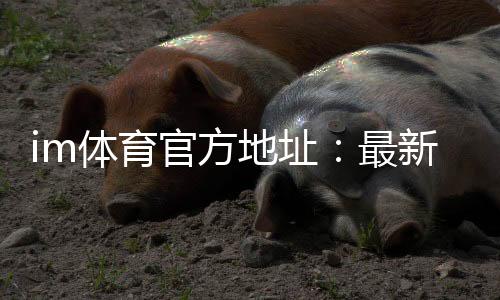 im体育官方地址：最新官网入口及安全投注指南