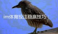 im体育投注稳赢技巧：资深玩家揭秘三大实战策略