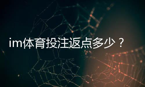 im体育投注返点多少？揭秘高返水平台隐藏福利