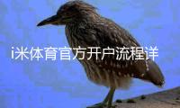 i米体育官方开户流程详解：新手注册步骤、实名认证与常见问题
